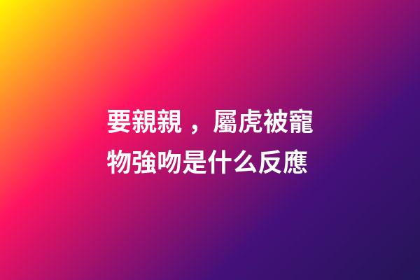 要親親，屬虎被寵物強吻是什么反應